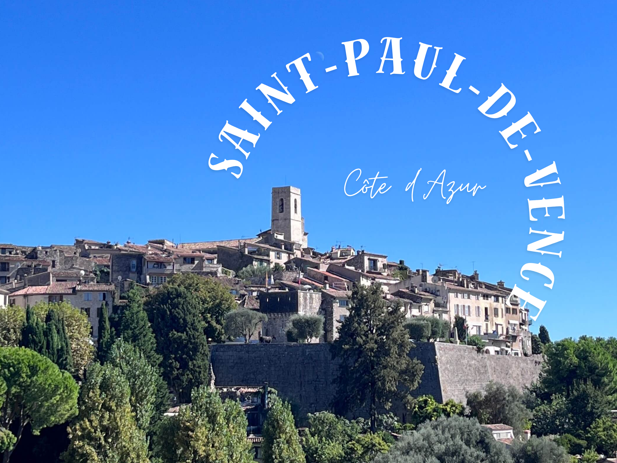 你的段落文字-11