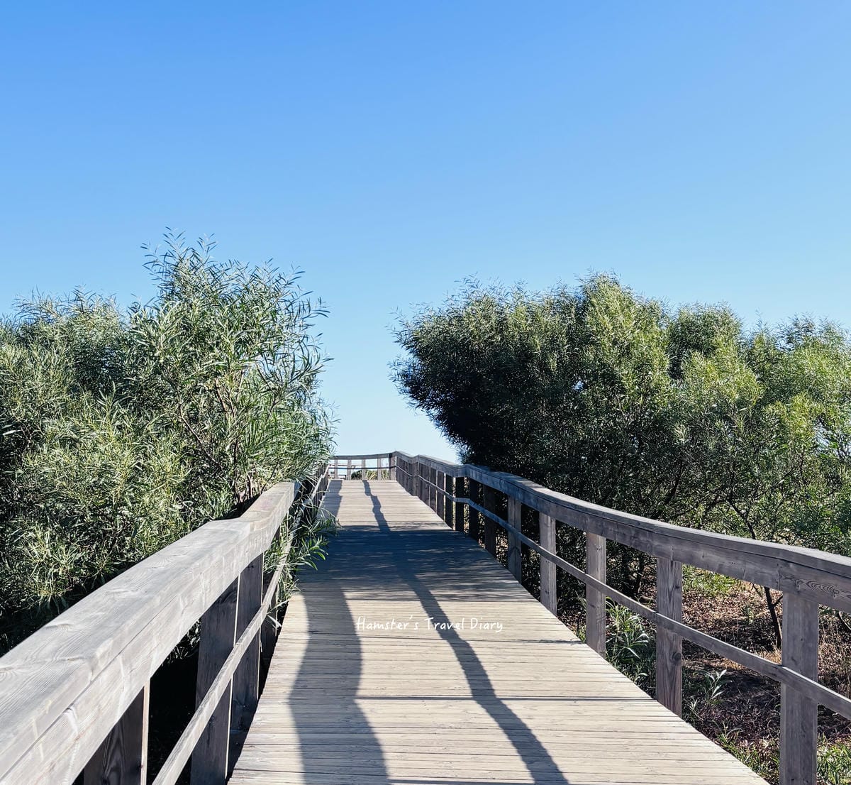 【葡萄牙】阿爾加維最美海蝕地形Ponta da Piedade 佩達德角攻略|交通、步道、拍照點、住宿一次整理 - 第6張圖 【葡萄牙】阿爾加維最美海蝕地形Ponta da Piedade 佩達德角攻略|交通、步道、拍照點、住宿一次整理