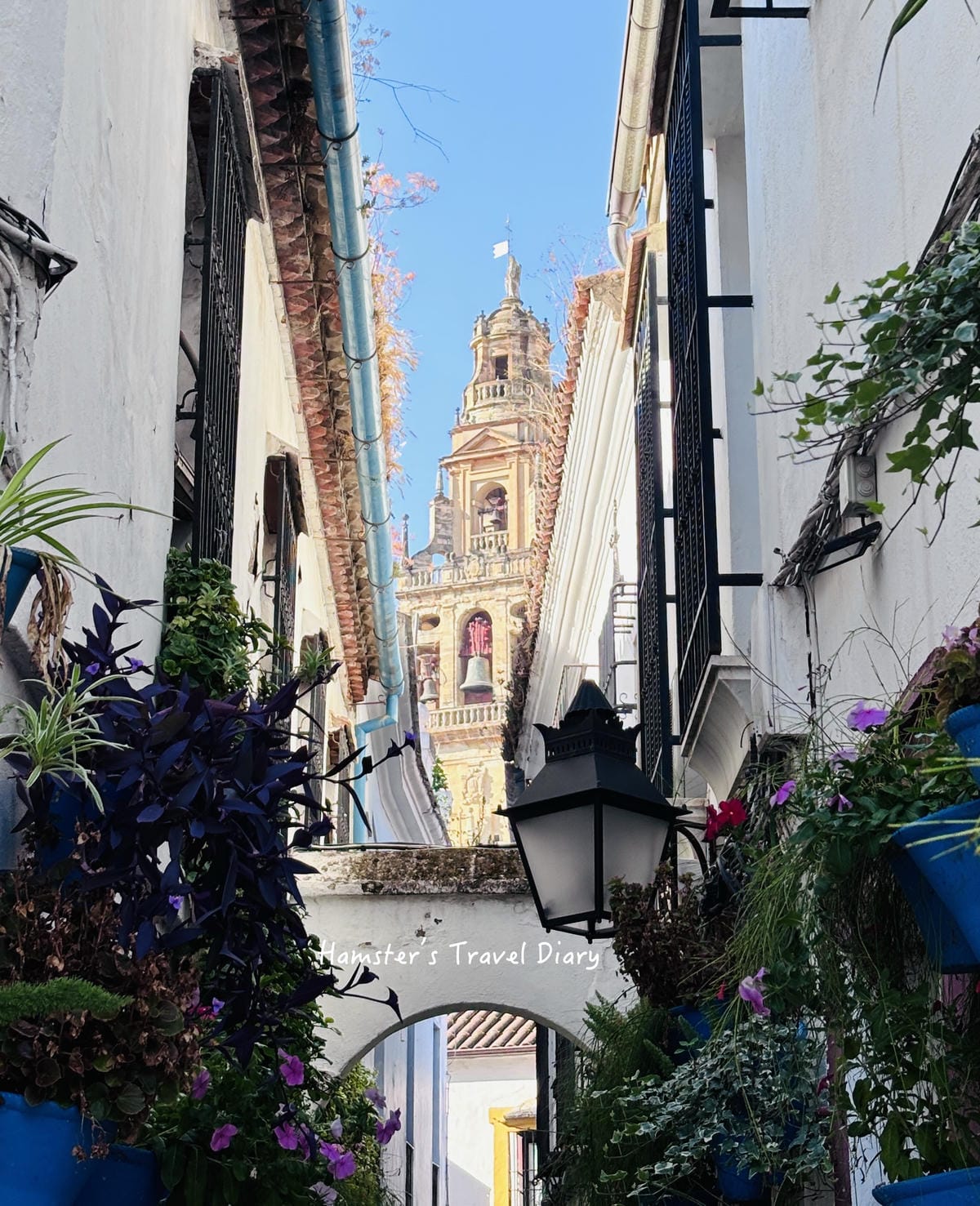 【2026哥多華自由行】 Córdoba 一日遊攻略｜清真寺免費入場時間、百花巷拍照＋交通美食