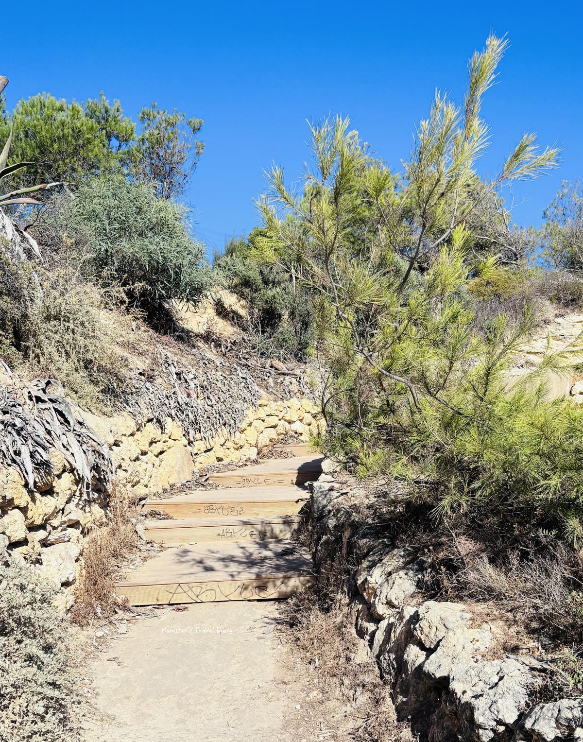 【葡萄牙】阿爾加維Algarve 自由行全攻略：必去海蝕洞景點、跨國交通、海景住宿與南葡必吃美食