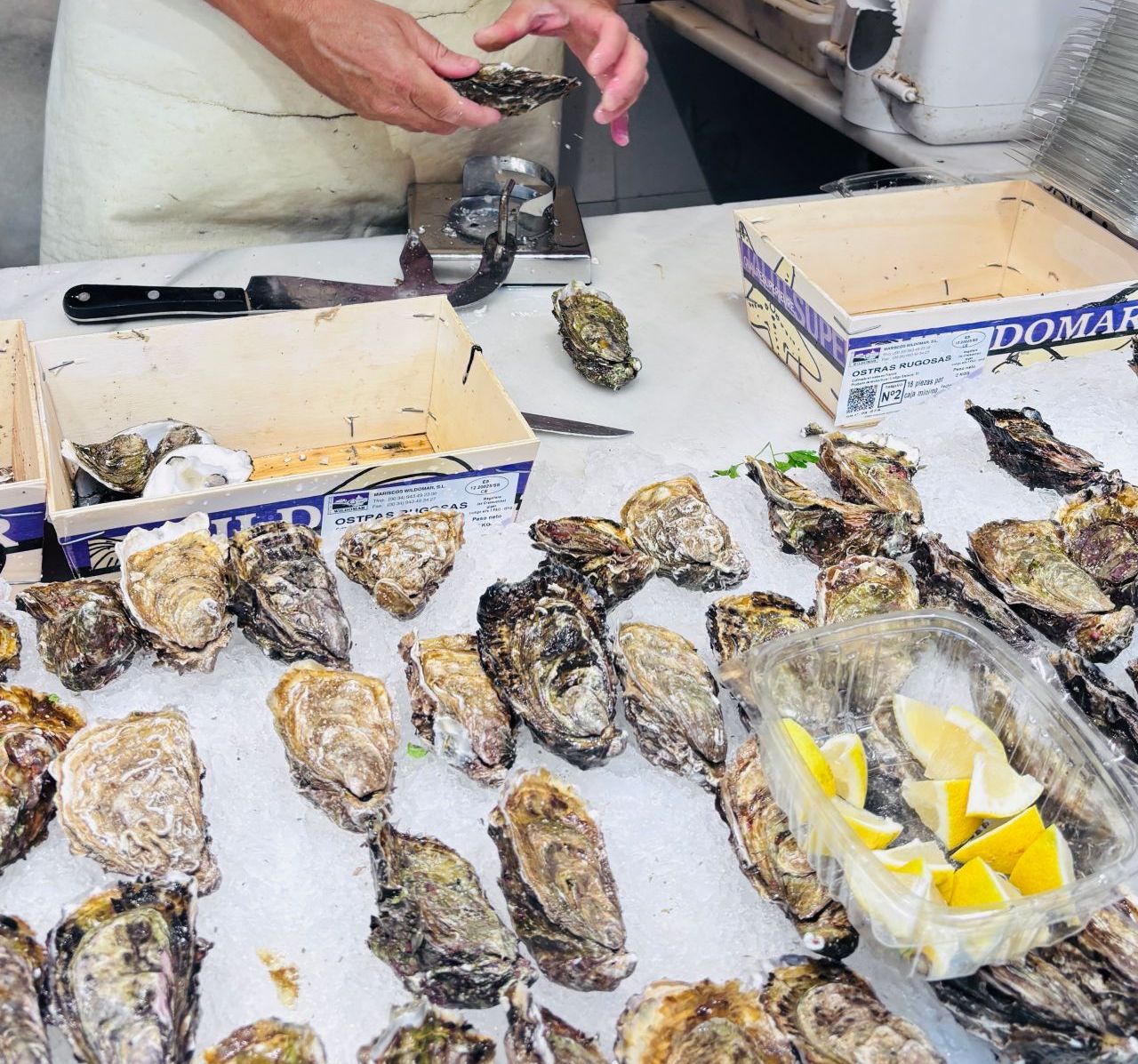 【馬拉加景點】馬拉加中央市場 Mercado Central de Atarazanas|免費入場、必吃美食攻略 - 第6張圖 【馬拉加景點】馬拉加中央市場 Mercado Central de Atarazanas|免費入場、必吃美食攻略