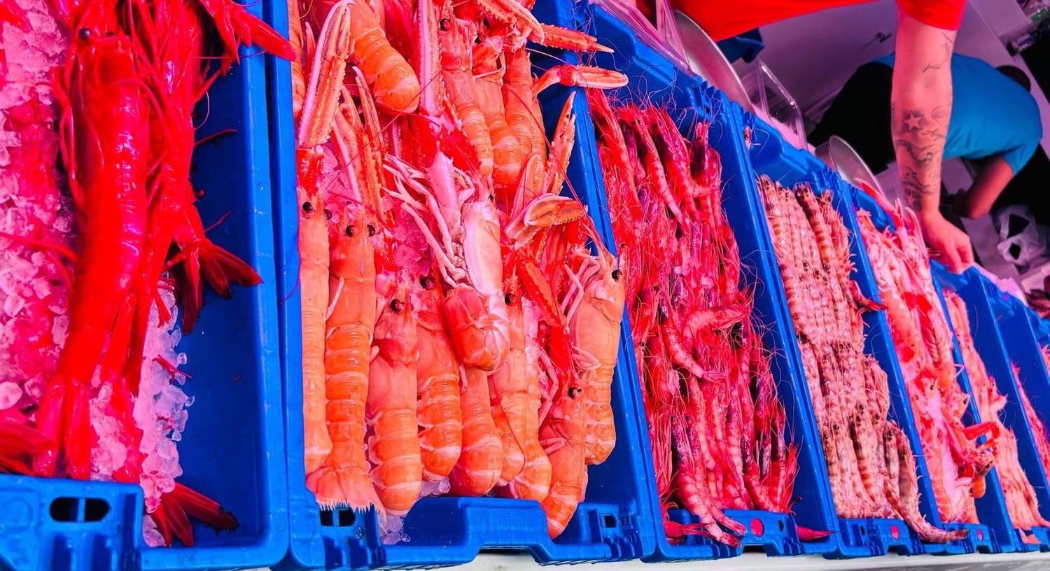 【馬拉加景點】馬拉加中央市場 Mercado Central de Atarazanas|免費入場、必吃美食攻略 - 第5張圖 【馬拉加景點】馬拉加中央市場 Mercado Central de Atarazanas|免費入場、必吃美食攻略