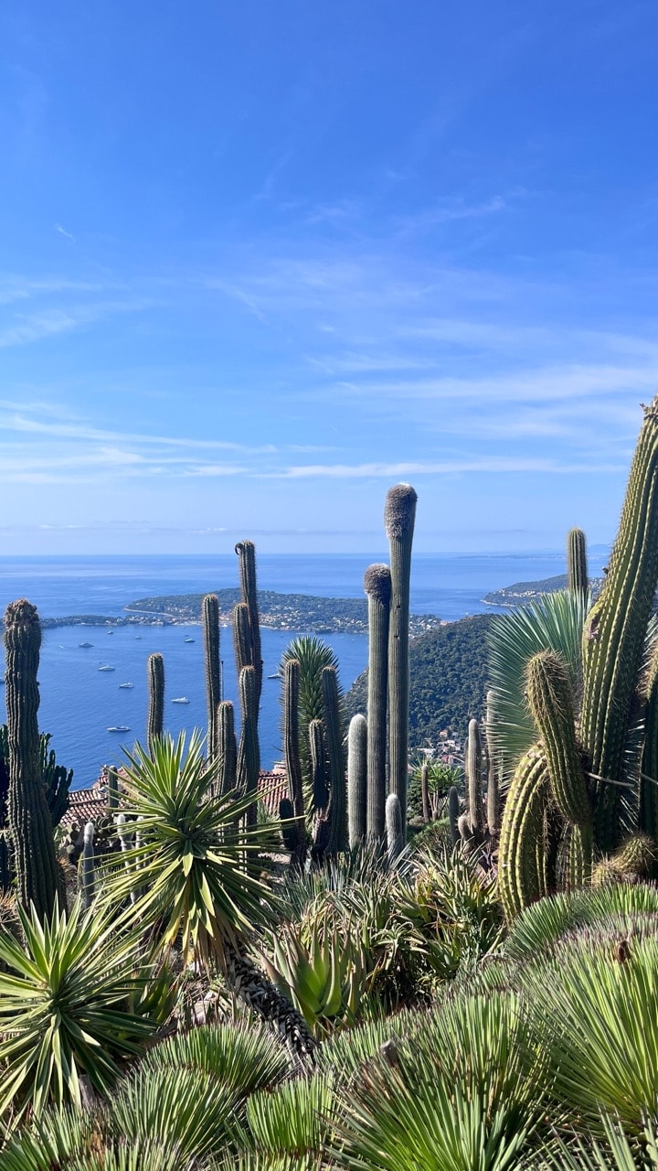 【南法景點】埃茲小鎮 Èze 攻略|懸崖上的中世紀山城,仙人掌花園攻略 - 第3張圖 【南法景點】埃茲小鎮 Èze 攻略|懸崖上的中世紀山城,仙人掌花園攻略