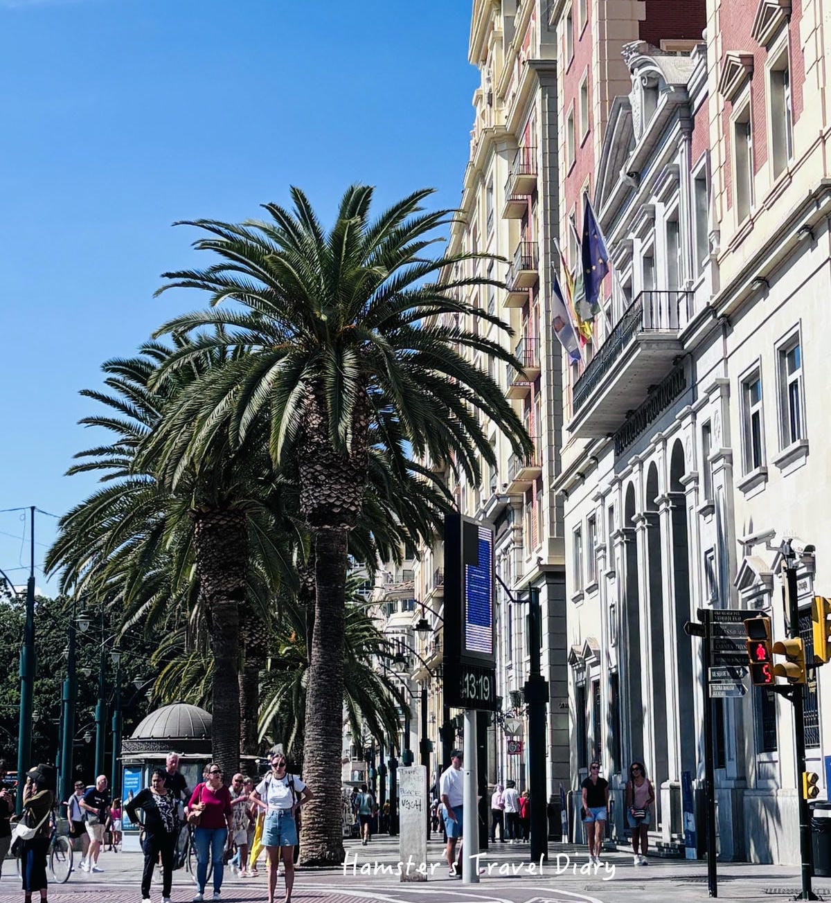 【馬拉加景點】馬拉加中央市場 Mercado Central de Atarazanas|免費入場、必吃美食攻略 - 第10張圖 【馬拉加景點】馬拉加中央市場 Mercado Central de Atarazanas|免費入場、必吃美食攻略