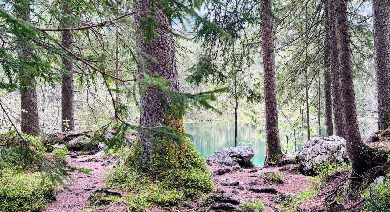 【奧地利湖區】2026藍紹辛特湖 Ramsau Hintersee 一日遊｜薩爾斯堡出發、免門票，比國王湖更好拍